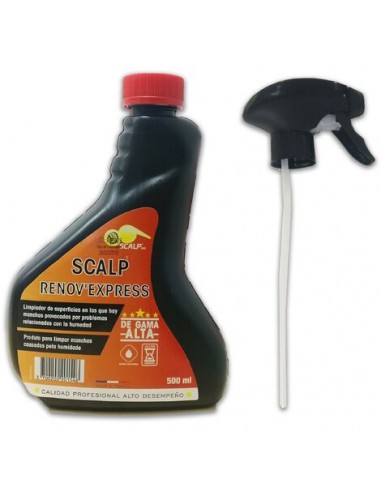 PULVERIZADOR LIMPIADOR RENOV EXPRESS 500 ML